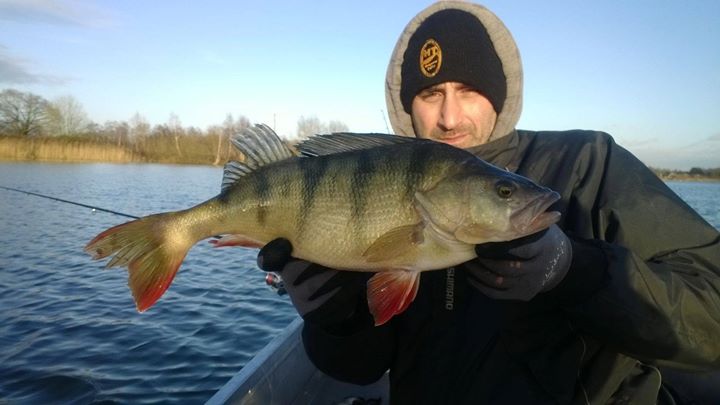 Baars 48 CM