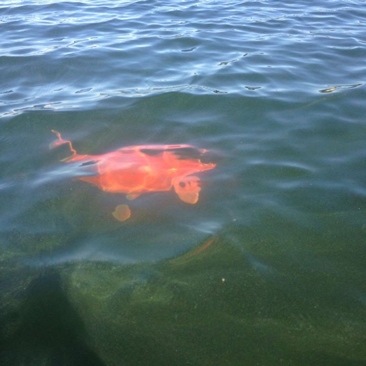 Fireball!