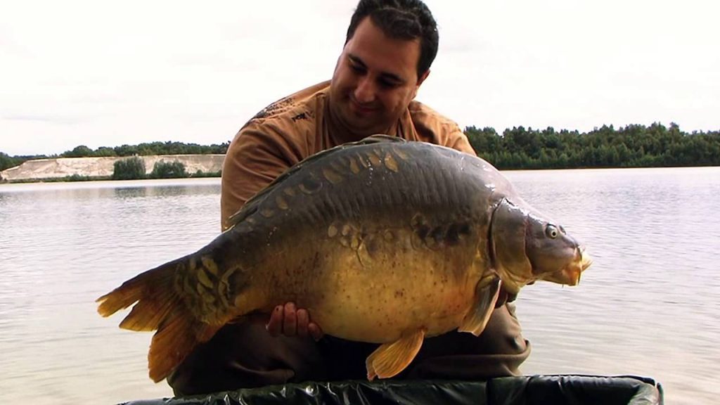 Fishing Adventure shared a link