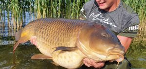 Calvin Tragter vangt nieuw meerrecord schub karper van 52 pond.