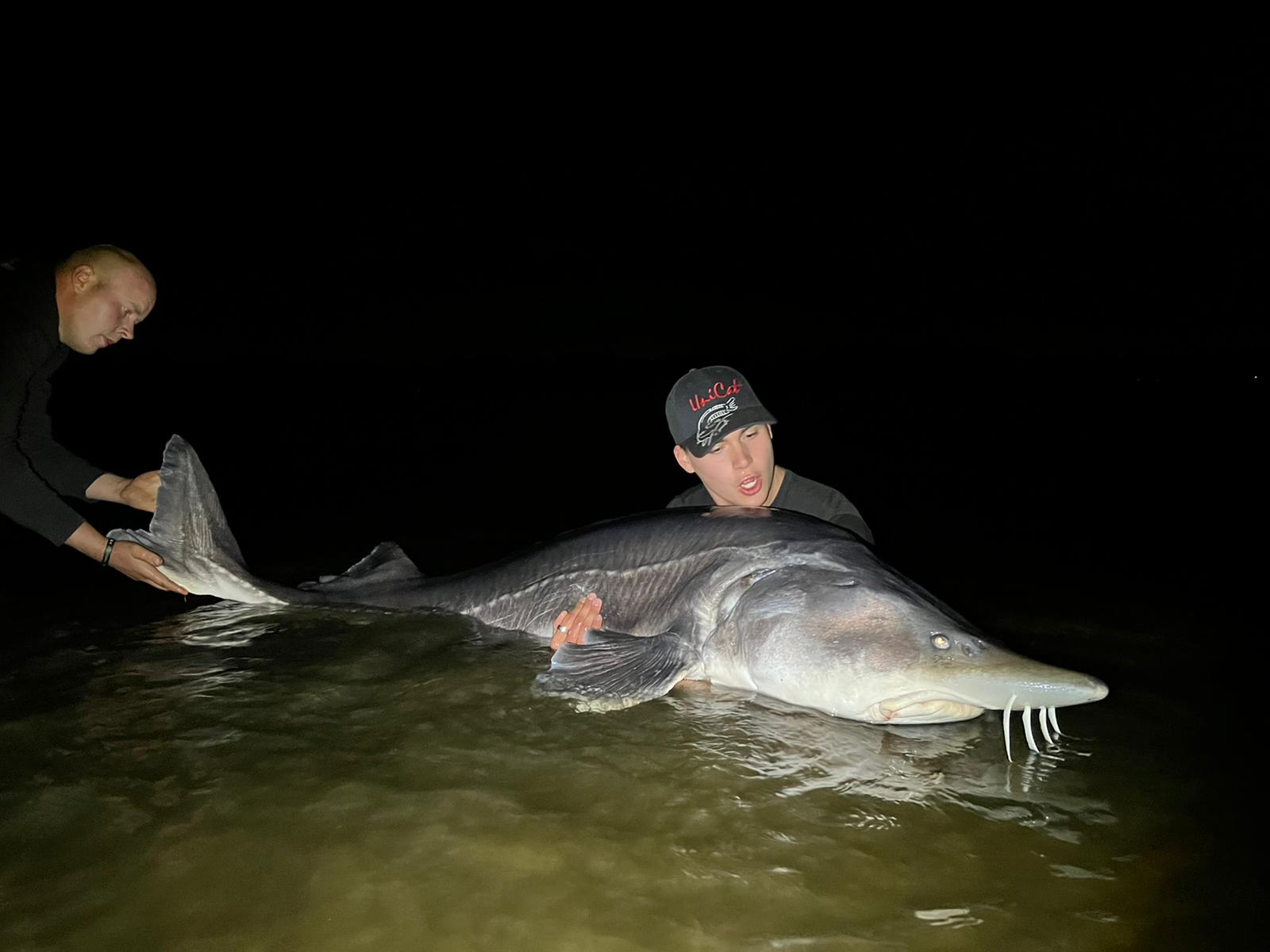 1-11-22 Nieuw meer-record steur 2.45 meter
