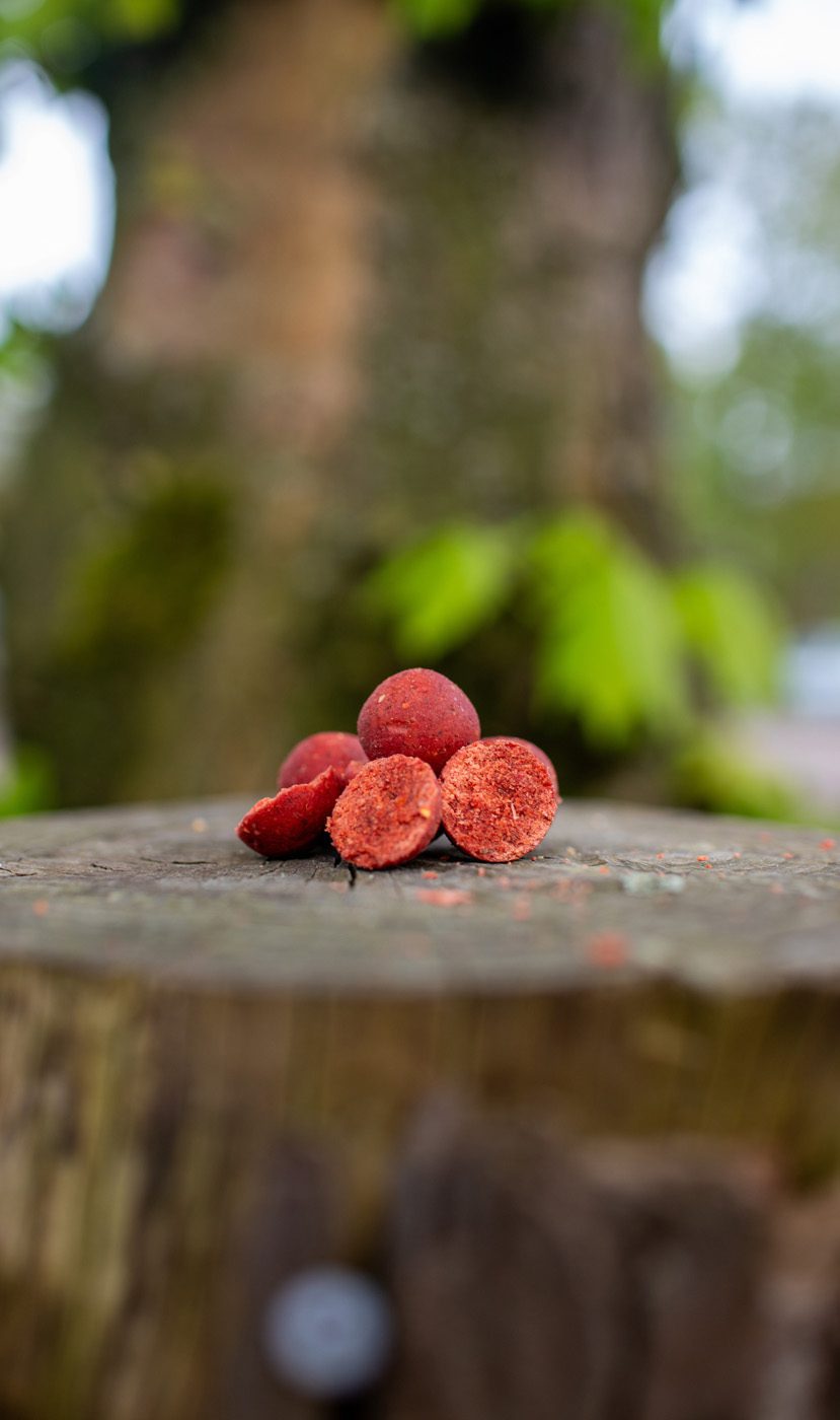 Robin Red Garlic Readymade Boilies 5KG
